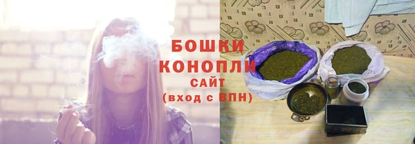ПСИЛОЦИБИНОВЫЕ ГРИБЫ Михайлов