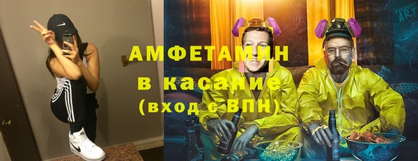 ПСИЛОЦИБИНОВЫЕ ГРИБЫ Михайлов