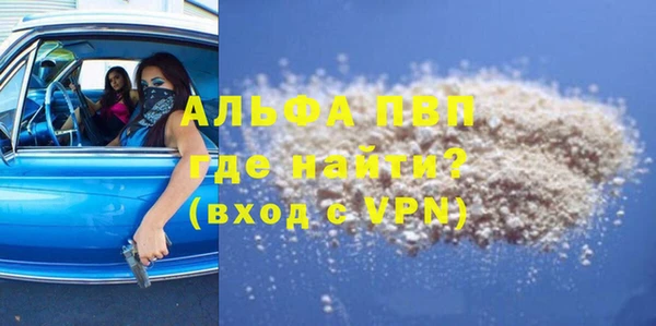ПСИЛОЦИБИНОВЫЕ ГРИБЫ Михайлов