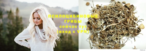 стафф Медногорск