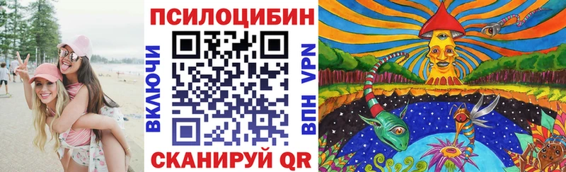 Псилоцибиновые грибы Cubensis  даркнет телеграм  Вилючинск 