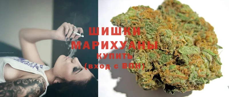 Бошки марихуана SATIVA & INDICA  где найти   Вилючинск 